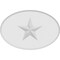 Ekena Millwork Standard Dalton Star Rosette With Rounded Edge, 8"W x 5 1/4"H x 3/4"P ROSP080X053X075DAL08 - alternate 3